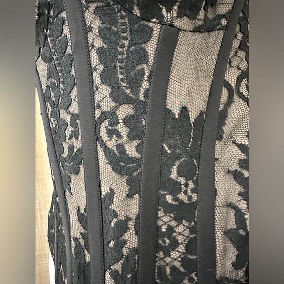 TEMPERLEY LONDON “Amy Winehouse” Black Lace & Mushroom Silk Corset Bustier US 4 - Picture 9 of 16